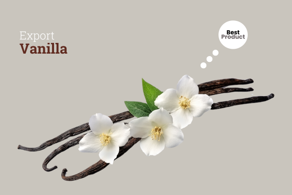 7 Vanilla